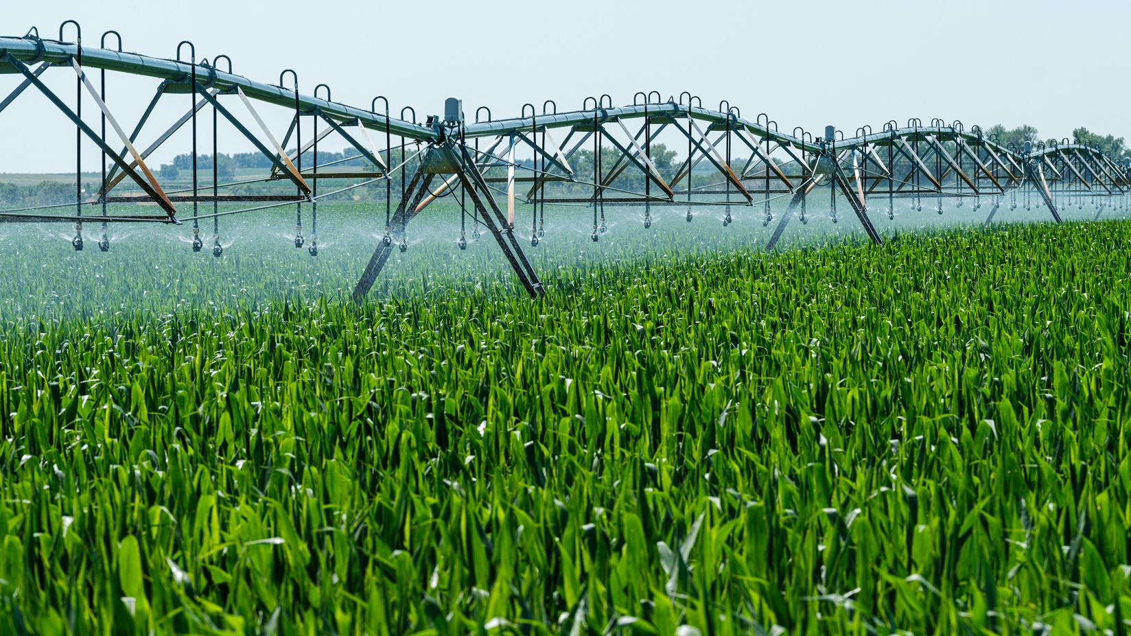Prime Assets Holding Limited farm